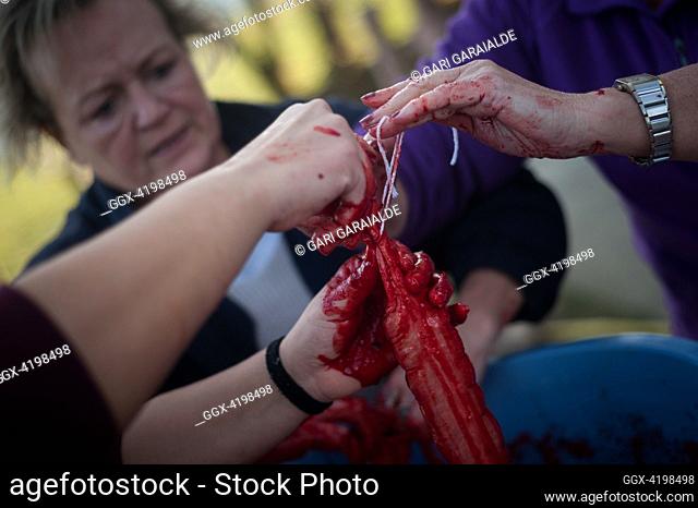 Some women make blood sausages in traditional way pig slaughtering. Legasa (Spain). January 7, 2017. The slaughter traditionally takes place in the autumn and...