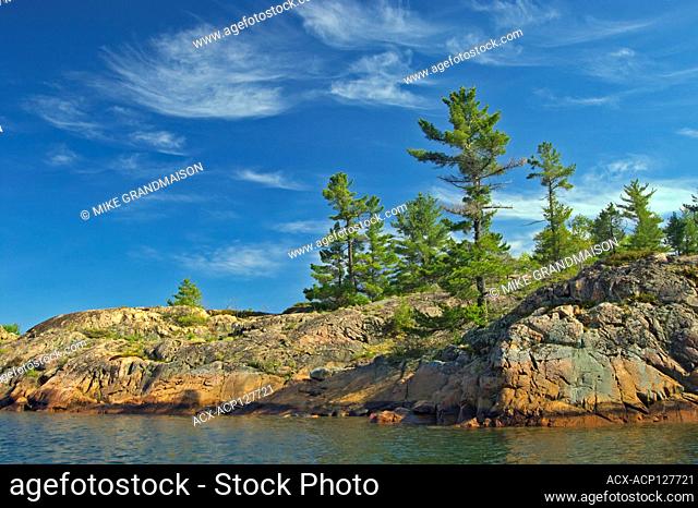 White pine trees and Precambrian Shield rock along Georgian Bay (Lake Huron) Killarney Provincial Park Ontario Canada