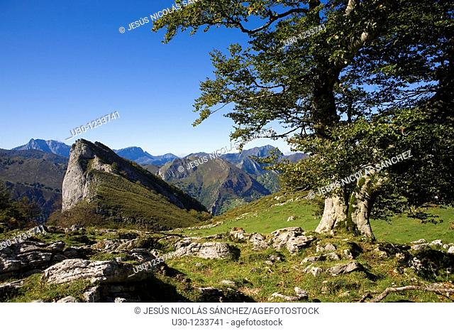Cornion massif, in the Picos de Europa National Park, Sajambre Valley, Leon, Castilla y Leon  Spain