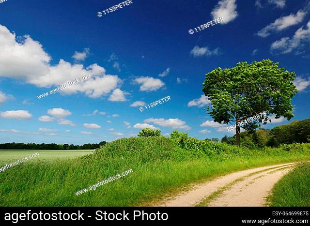 Landscape near Sieseby (Thumby), Rendsburg-Eckernförde, Schleswig-Holstein, Northern Germany
