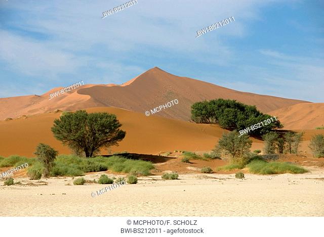 namib desert; dunes of Sossusvlei, salt deposit, Namibia