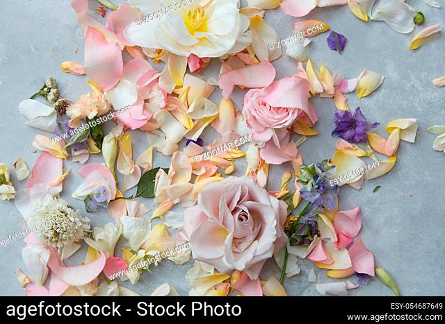 Overhead view of many different flowers and petals on concrete background, spring or summer concept