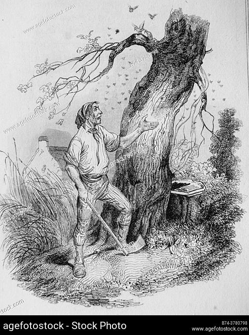 the old tree and the gardener, , the old tree and the gardener, , florian fables illustrated by victor adam, publisher delloye, desme 1838