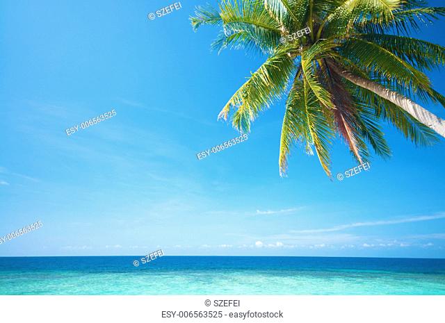 Summer sea view with coconut tree at Perhentian island, Malaysia