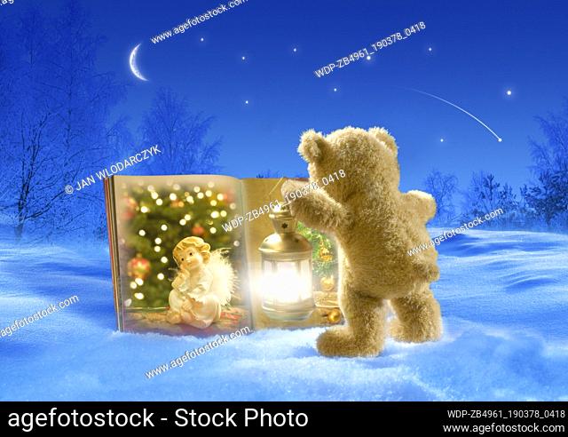 Snow scene at night and teddy bear with lantern