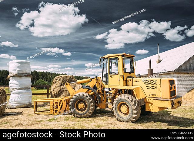 Multipurpose Wheel Loader Carry Out Works In Transportation Of Hay In Agruculture Place In Summer Sunny Day. Special Agricultural Equipment