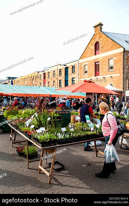 Salamanca Markets open for business on a winter's morning in Hobart, Tasmania, Australia