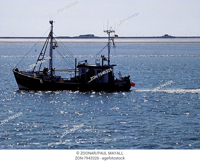 Shrimp Fishing Trawler Operating in the North Sea off the Small North Frisian Hallig Islands, Germany
