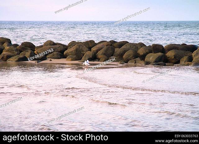 Stone groynes, breakwaters in the water off the coast in Denmark. Seagulls on the sandbar. Landscape photo by the sea