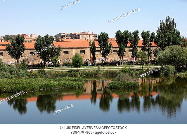 River Tormes, Salamanca, Castilla y Leon, Spain, Europe
