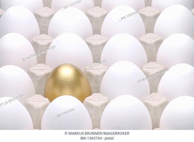 Golden egg amidst white eggs, symbolic image for being different, standing out from the crowd