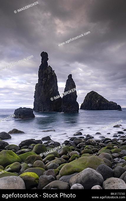 Volcanic rock formations, Ilheus da Rib rock needle, sunset, Ribeira da Janela cliff, Lanceiros, Madeira, Portugal, Europe