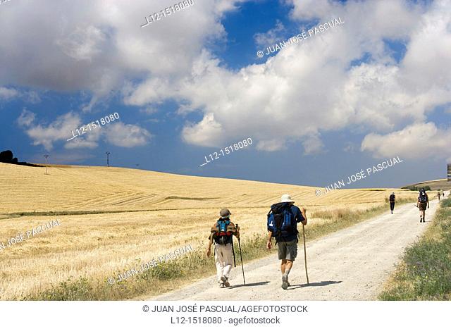 Saint Jacques Way, Road to Santiago pilgrims near Belorado, Burgos province, Castille-Leon, Spain