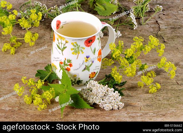 Herbal tea with yarrow, white deadnettle and lady's mantle, herbal tea, for menstrual cramps