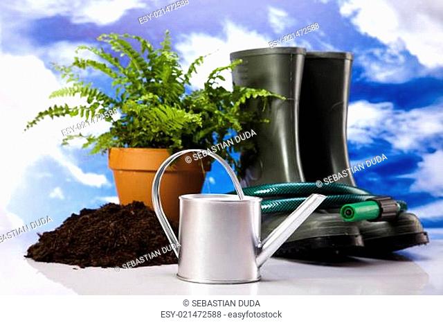 Watering Can And Gardening Tool