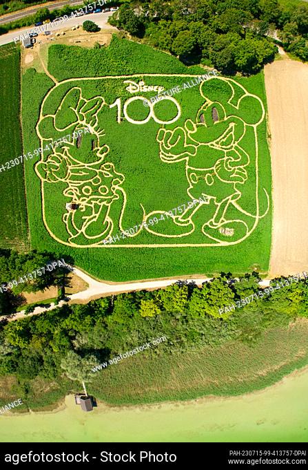 15 July 2023, Bavaria, Utting am Ammersee: The aerial view shows an elaborately designed plant field not far from the Ammersee lake in Upper Bavaria