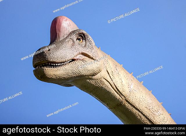 30 March 2023, Berlin: The replica of a brachiosaurus at the opening of Dinoworld Berlin at Tierpark Berlin. Until October