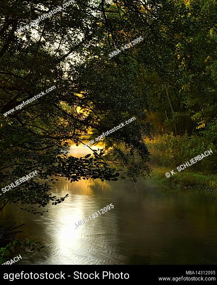 Europe, Germany, Hesse, Marburger Land, morning sun in floodplain forest on the Lahn near Brungershausen