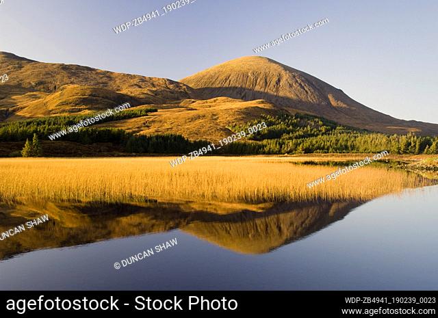 Beinn na Caillich (732 metres), reflected in Loch Cill Chriosd, near Broadford, reedbed