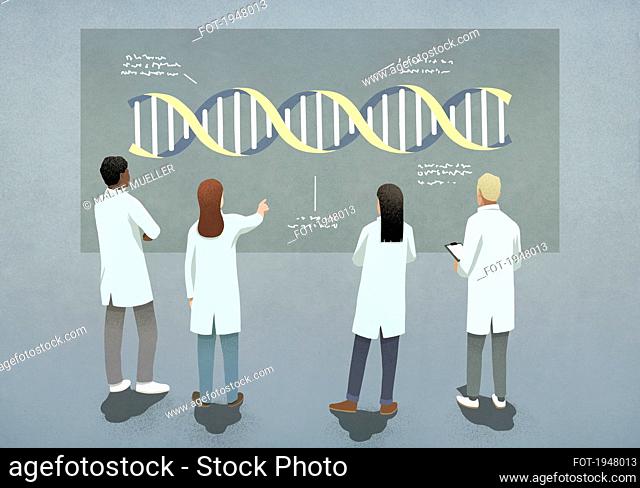 Scientists examining and discussing DNA double helix diagram
