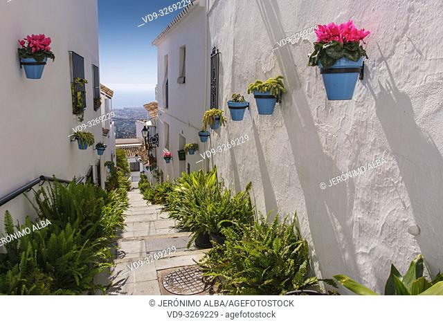 Typical street with flowers, white village of Mijas. Malaga province Costa del Sol. Andalusia, Southern Spain Europe