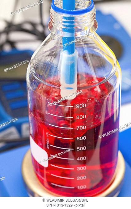 Glassware containing red liquid in the laboratory