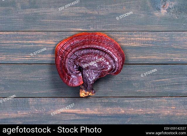 Close up of Ling zhi mushroom, Ganoderma lucidum mushroom on wood table
