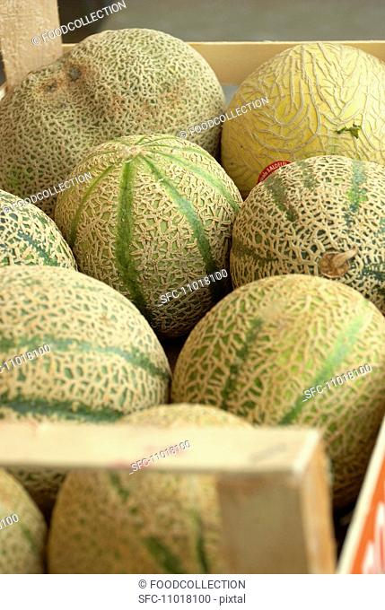 Galia melons in a wooden crate