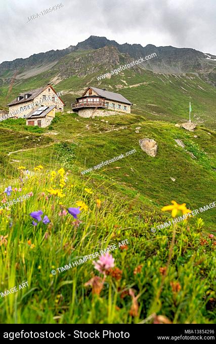 Europe, Austria, Tyrol, Verwall, Paznaun, Galtür, Friedrichshafener hut, view over the blooming mountain meadow to the Friedrichshafener hut