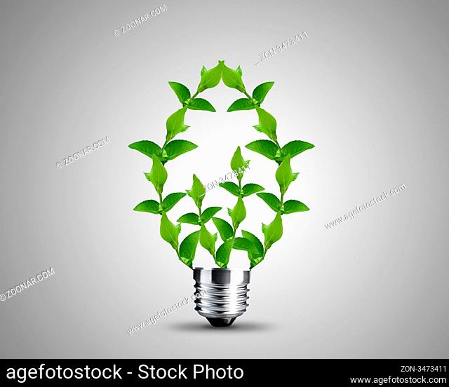 light bulb made from green Leaves , light bulb conceptual Image