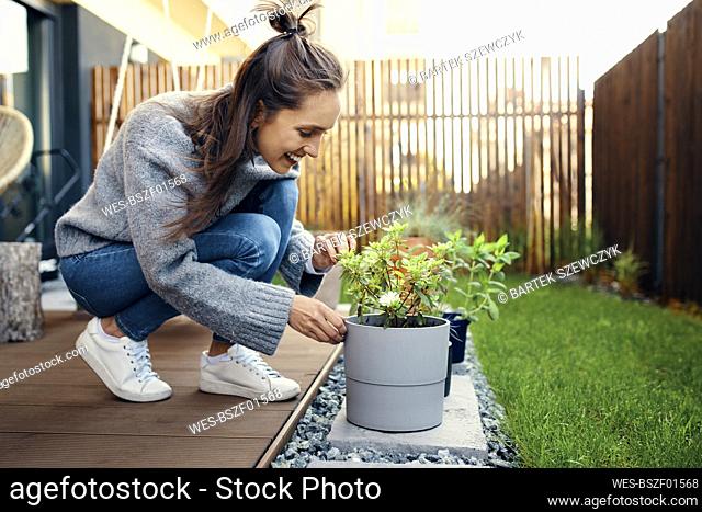 Smiling young woman looking at potted plant in garden