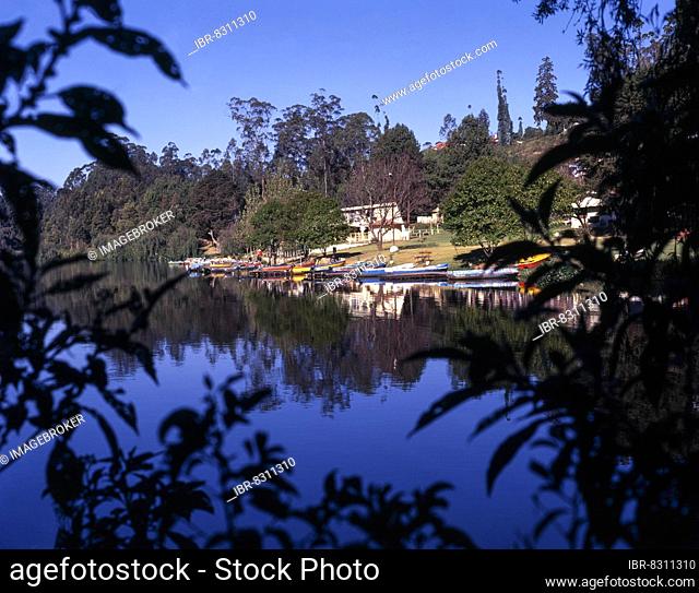 Colourful Boats in front of boat house, Udhagamandalam or Ooty, Nilgiris, Tamil Nadu, India, Asia
