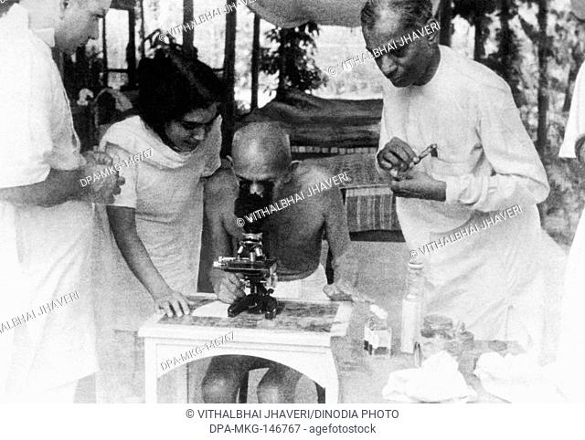 Mahatma Gandhi examining hookworm cells through a microscope at Juhu Beach ; Mumbai ; May 1944 ; Sushila Nayar ; Dr. Dinshah Mehta and Dr
