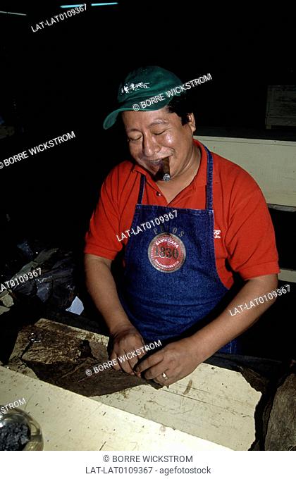 Santa Clara cigar factory. Man smoking cigar while rollng brown dried tobacco leaves into cigar. Hand made