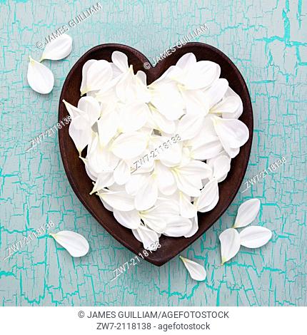 White Dahlia petals in wooden heart