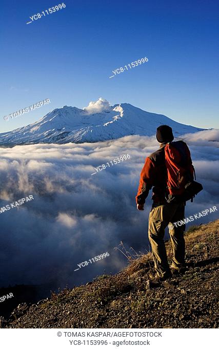 Hiker is enjoying view of autumn Mt  St  Helens volcano which erupted in 1980, and created almost moon like landscape to which life is slowly finding it's way...