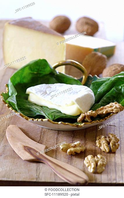 Soft cheese, hard cheese and walnuts