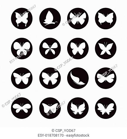 Vector group of butterflies in the circle