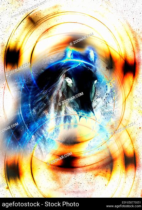 Horse in space, in circle light. Mirror on the planet Earth. Animal concept, Winter effect and blue color