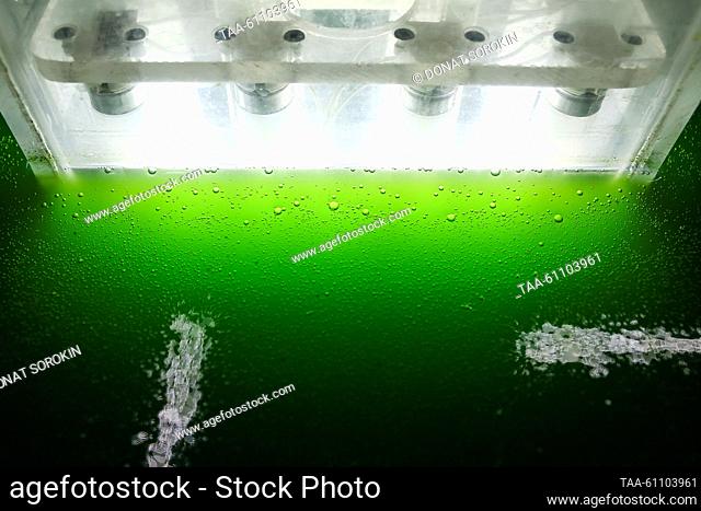 RUSSIA, SVERDLOVSK REGION - AUGUST 16, 2023: A tank in a facility for cultivating chlorella, a freshwater species of algae, at a fish hatchery