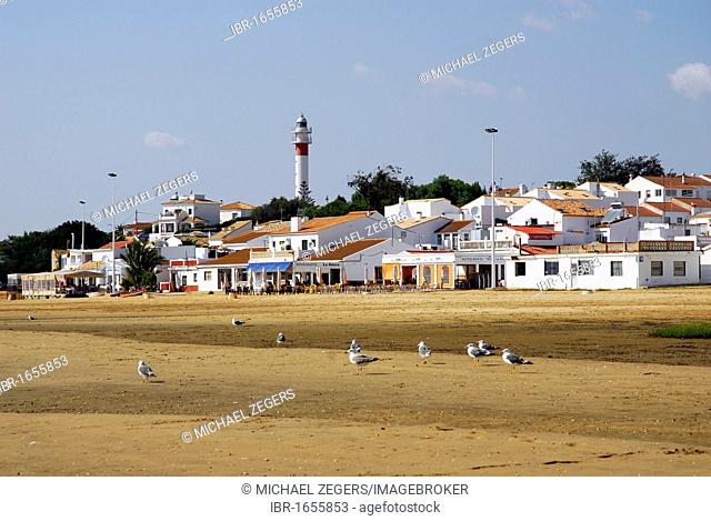 Lighthouse at the beach in El Rompido, Cartaya, Costa de la Luz, Huelva region, Andalucia, Spain, Europe