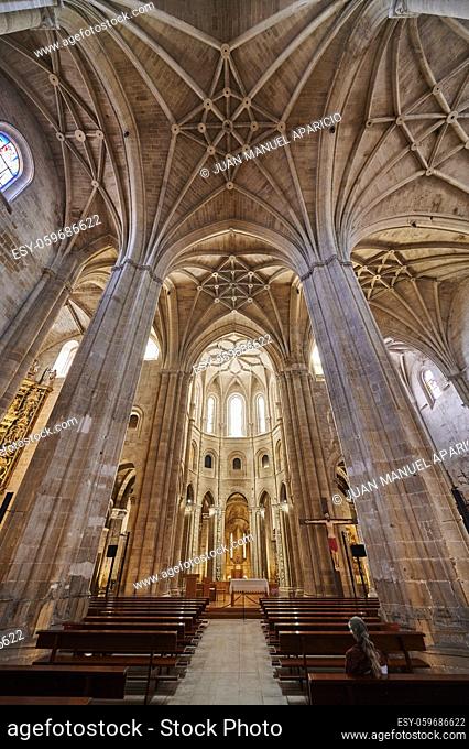 Cathedral of El Salvador, Santo Domingo de la Calzada, La Rioja, Spain, Europe