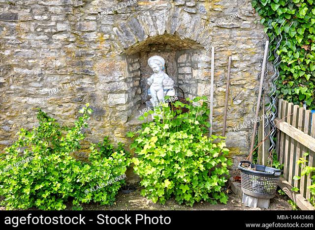 Wall, plant, stone, city fortification, still life, Eibelstadt, Franconia, Germany, Europe