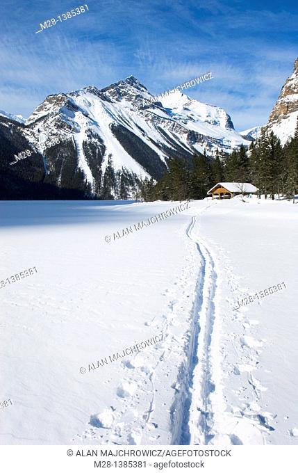 Backcountry ski track heading to warming shelter on Kinney Lake, Mount Robson Provincial Park British Columbia Canada