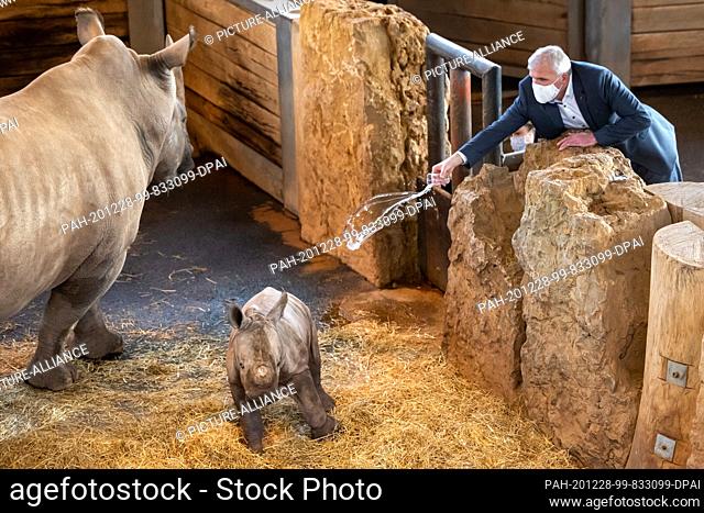 28 December 2020, Thuringia, Erfurt: Andreas Bausewein (SPD), Lord Mayor, christens the baby rhino in the Thuringian Zoopark Erfurt with the name Tayo using a...