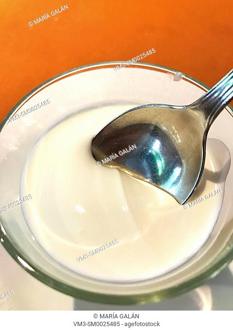 Spoon dipped in yoghurt cream