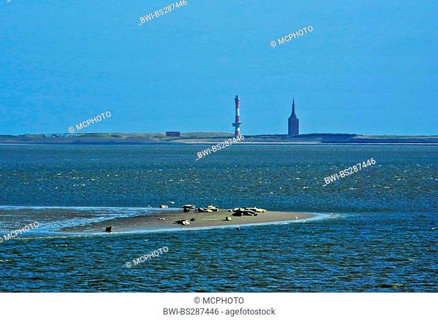 view from the tidelands at the island Wangerooge with the new lighthouse and the new West Tower, Germany, Lower Saxony, Wangerooge