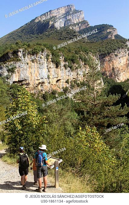 Hikers walking in Añisclo Valley, canyon belonging to Ordesa y Monte Perdido National Park  Pyrenees  Fanlo  Huesca province  Aragón  Spain