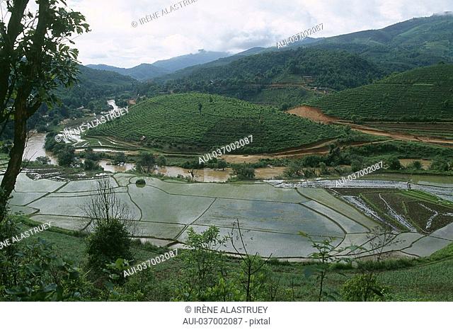 China - Yunnan - Xishuangbanna - Menghai Region