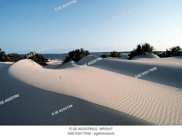 Sand dunes near the beach, Lamu Archipelago, Kenya